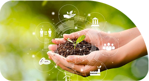 uploads/Rectangle 7(2).png